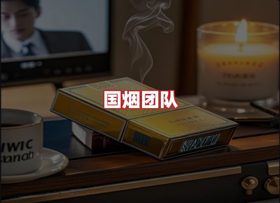 国烟团队